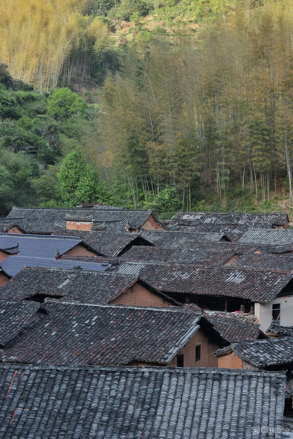 吕晓辉民宿代表作 如何打造理想主义向往的品质活力乡村?