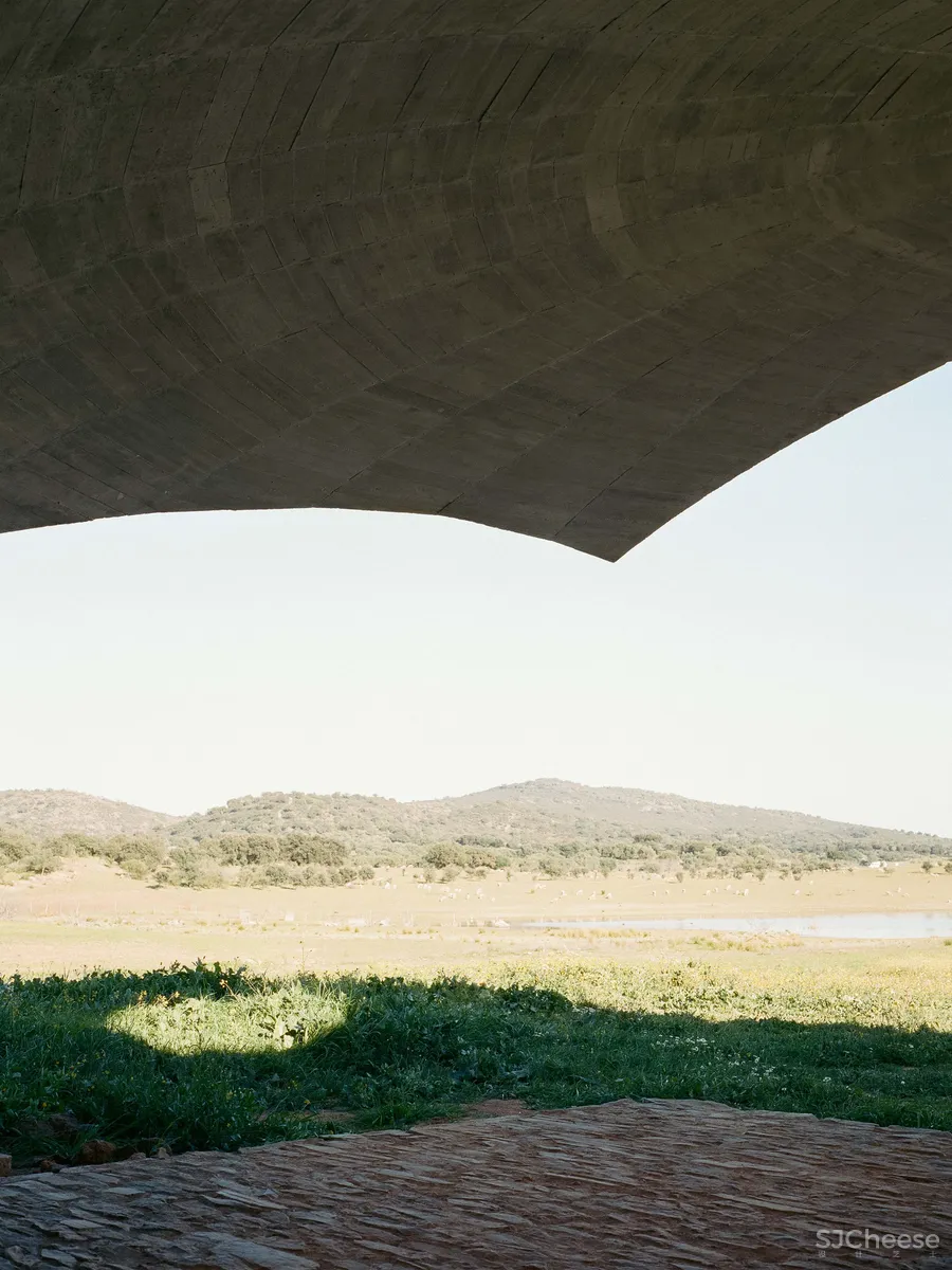 乡下民宿越做越精致，它们却反其道而行：越简陋越高级
