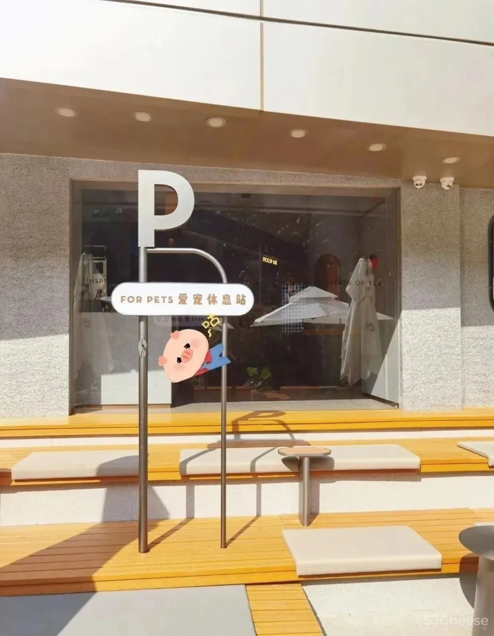 喜茶开「宠物店」了?居然是这样的!