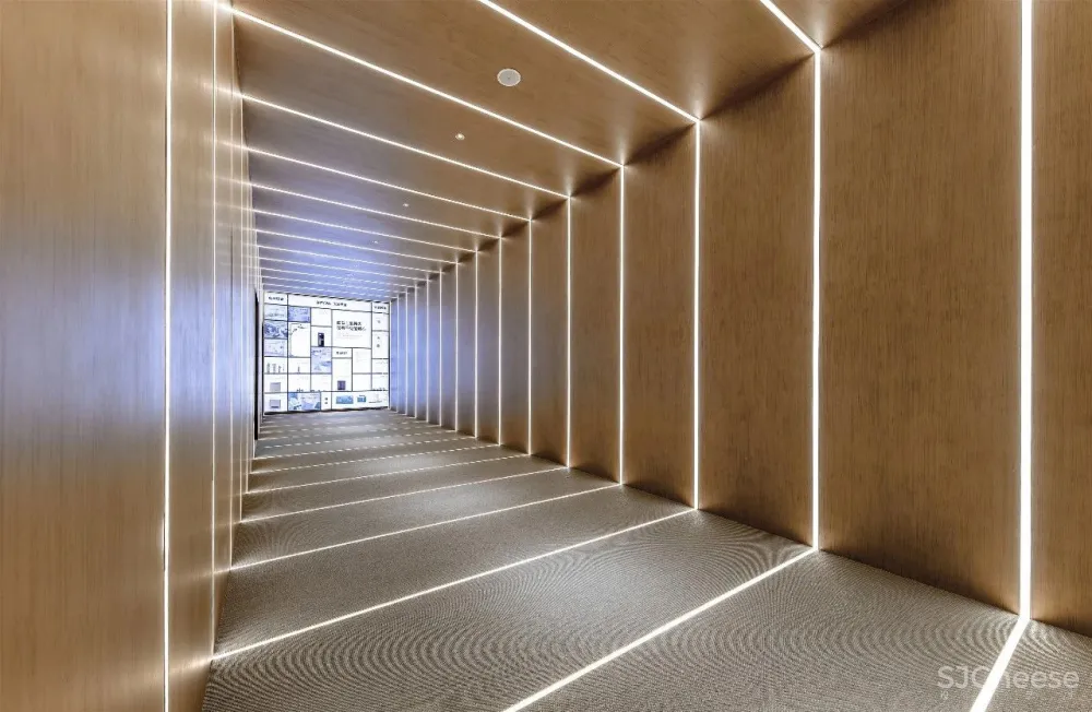 山川·光盒:卓越平湖壹号销售中心 达观设计凌子达