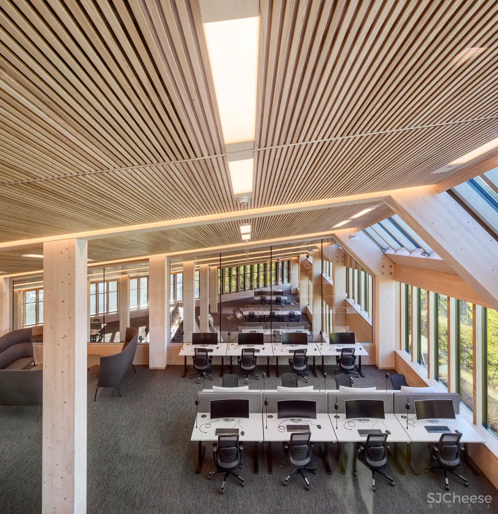 4.7亿的总部大楼,一根钢筋都没有!原来木结构可以这么美!