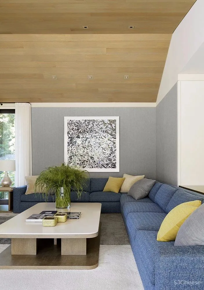 自然温感·雪松豪宅