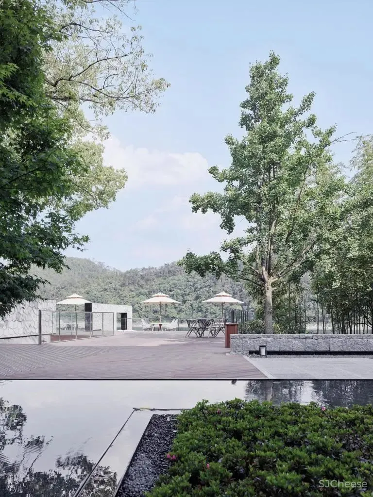 杭州千岛湖雅谷风林度假酒店