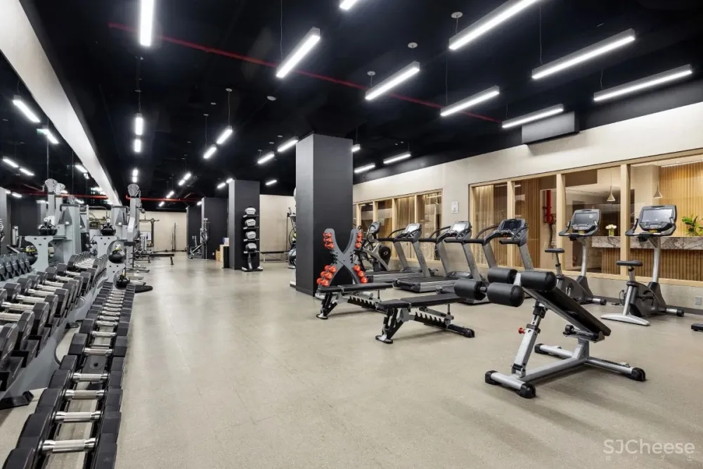 Real estate 地产 顶层公寓 低调奢华