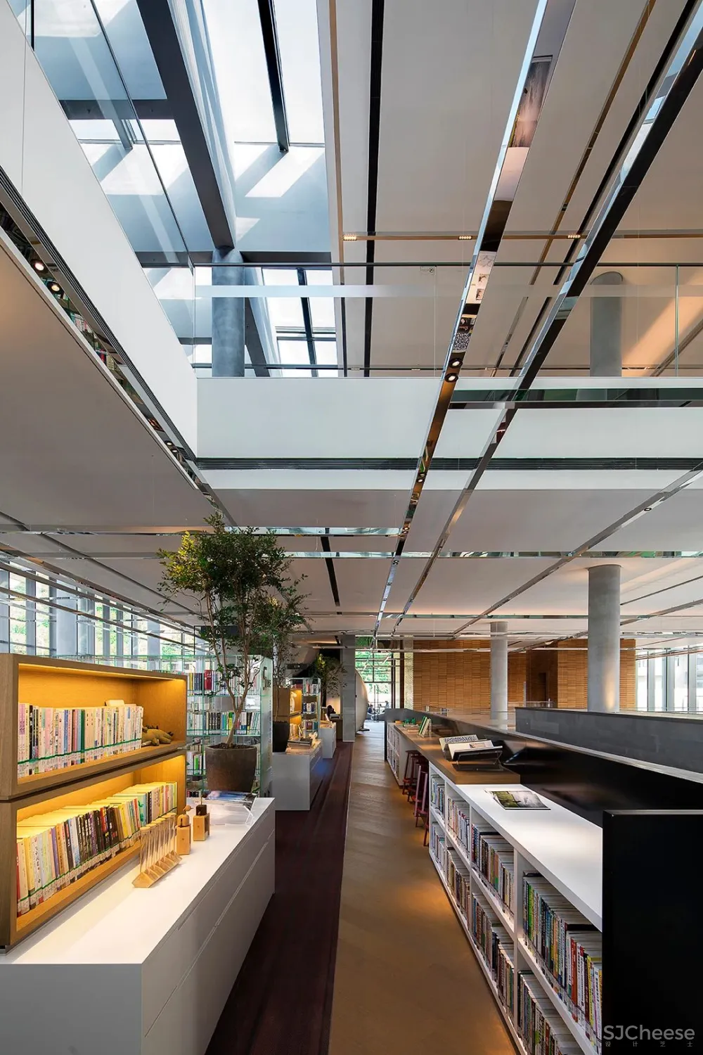 DOMANI东仓新作 广州图书馆 品秀星樾分馆