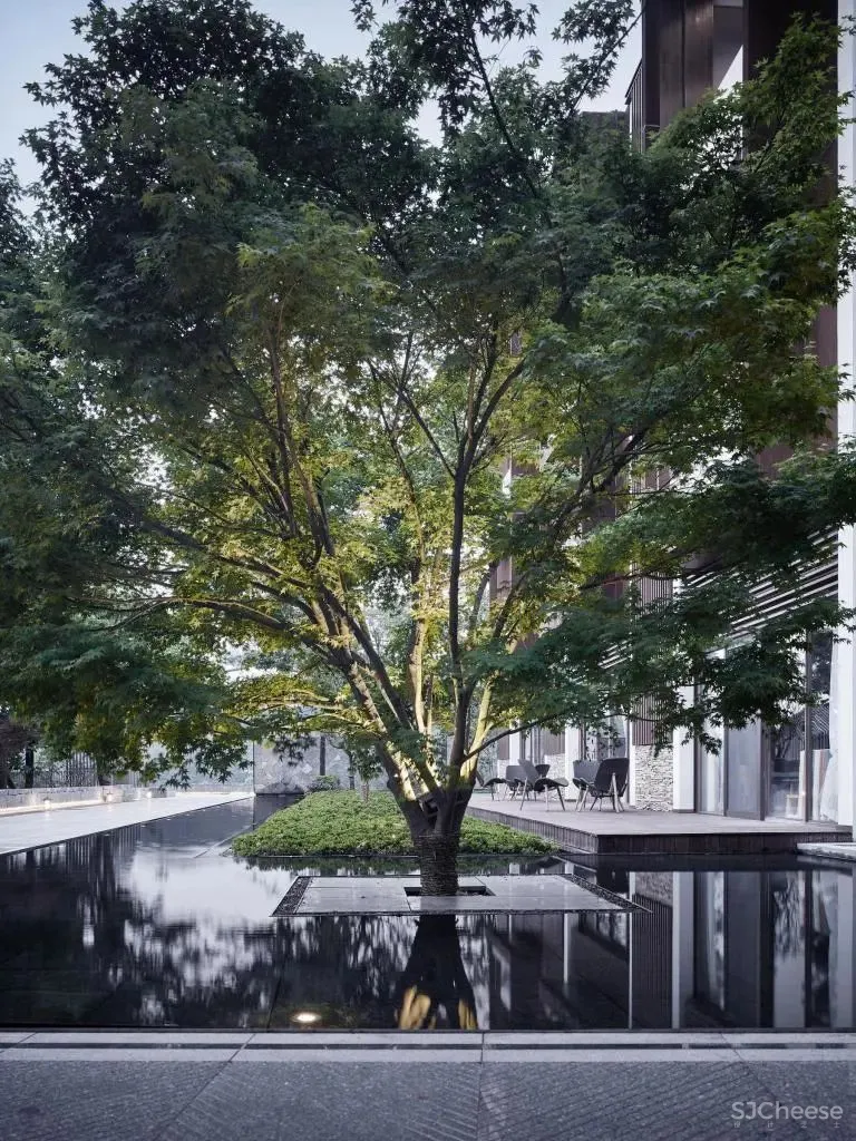 杭州千岛湖雅谷风林度假酒店