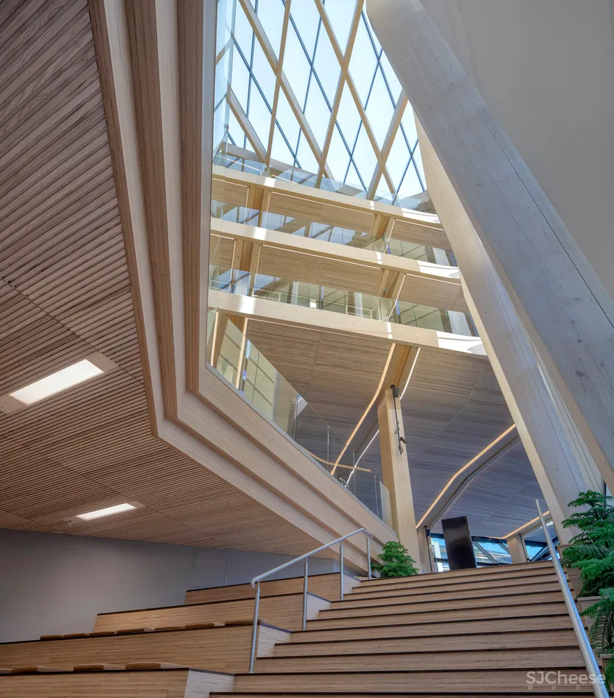 4.7亿的总部大楼,一根钢筋都没有!原来木结构可以这么美!