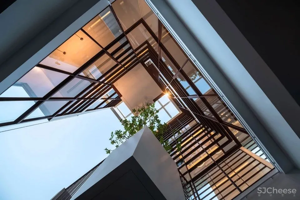 这个住宅让树都飘了!它是怎样做到的?