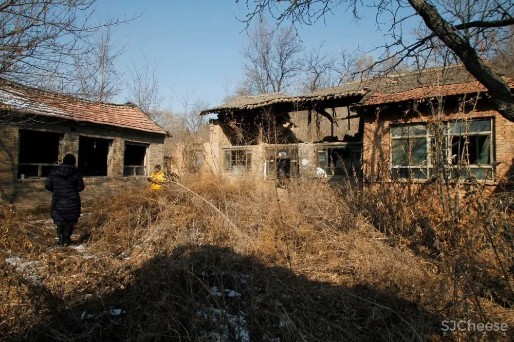 造币局民宿：设计又土又洋，却让人想一住再住！