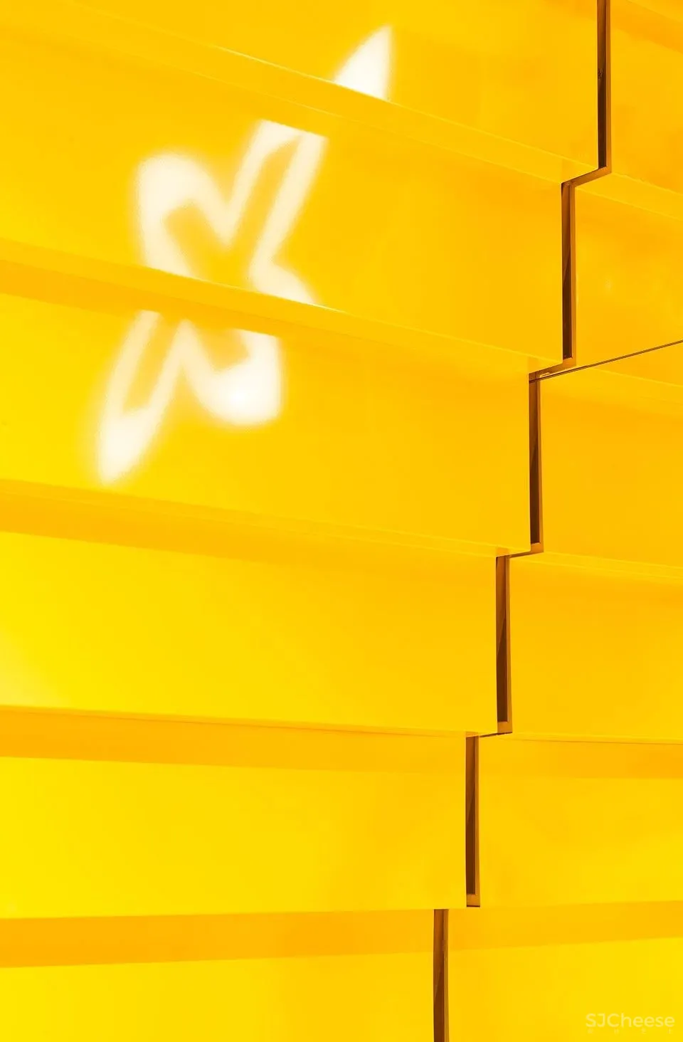 12号商店“Step”，西班牙 Studio Animal