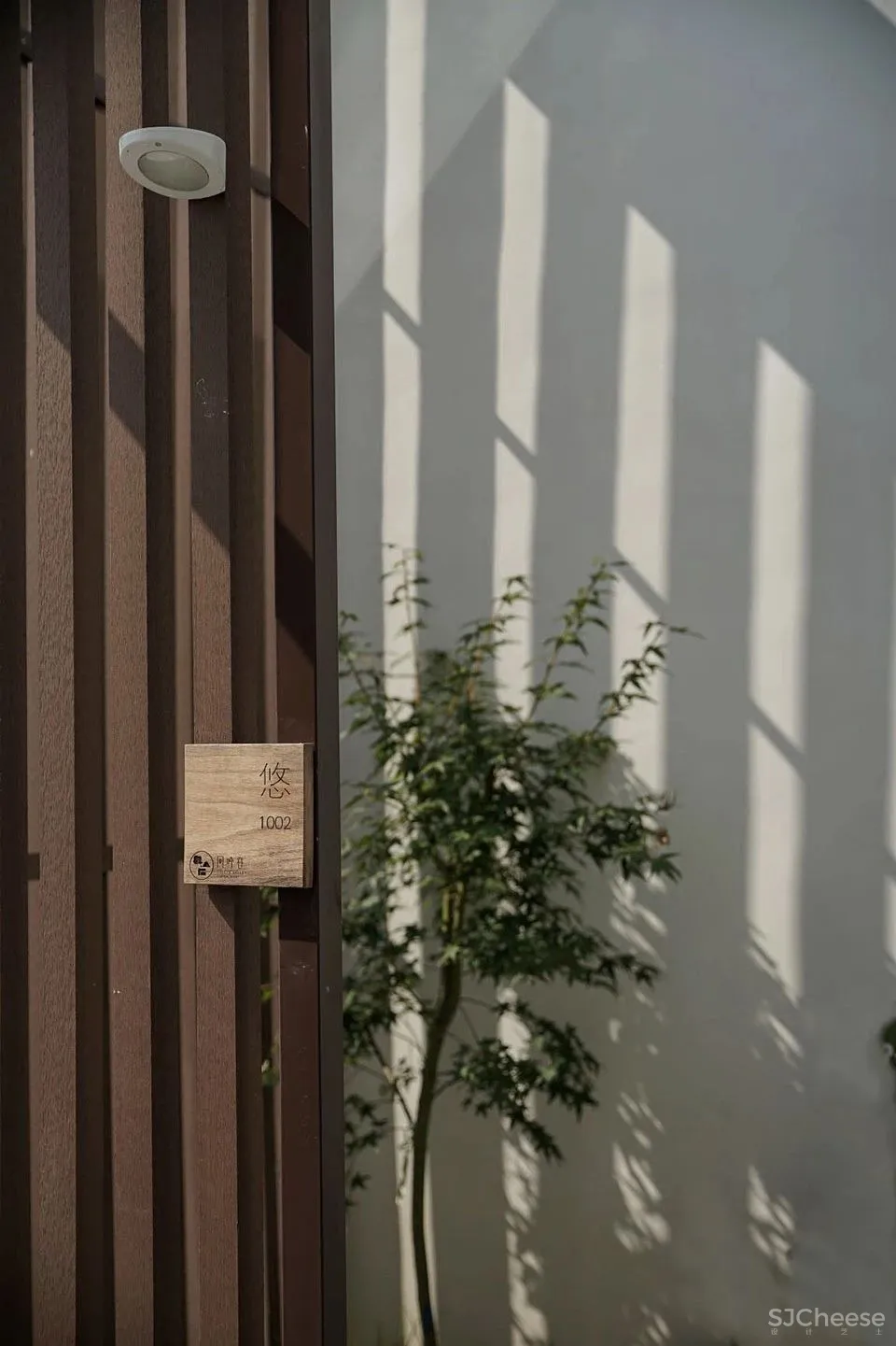 稻田里的极简民宿