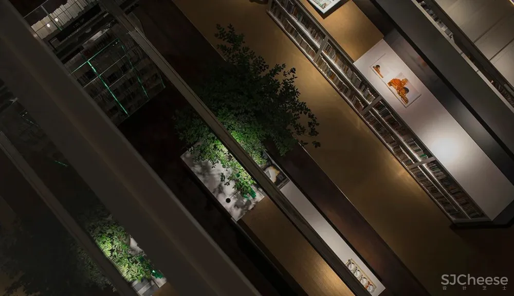 DOMANI东仓新作 广州图书馆 品秀星樾分馆