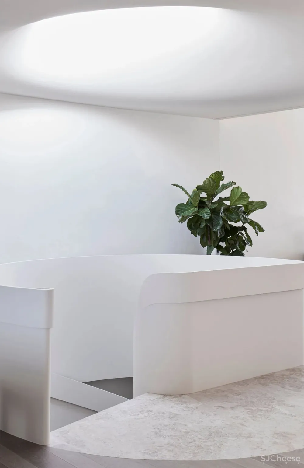 这个家 7 米高的旋转楼梯,美翻了!