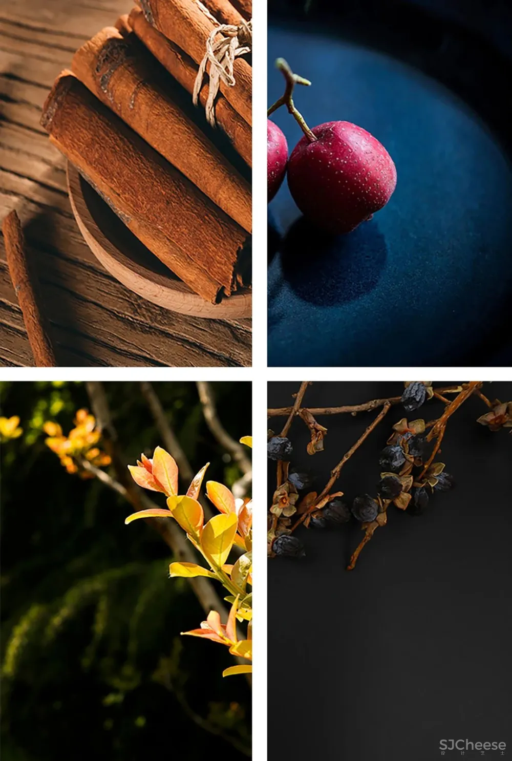 赤橙设计 2300年的古城，新开一家绝美秘境民宿，乡野美成诗