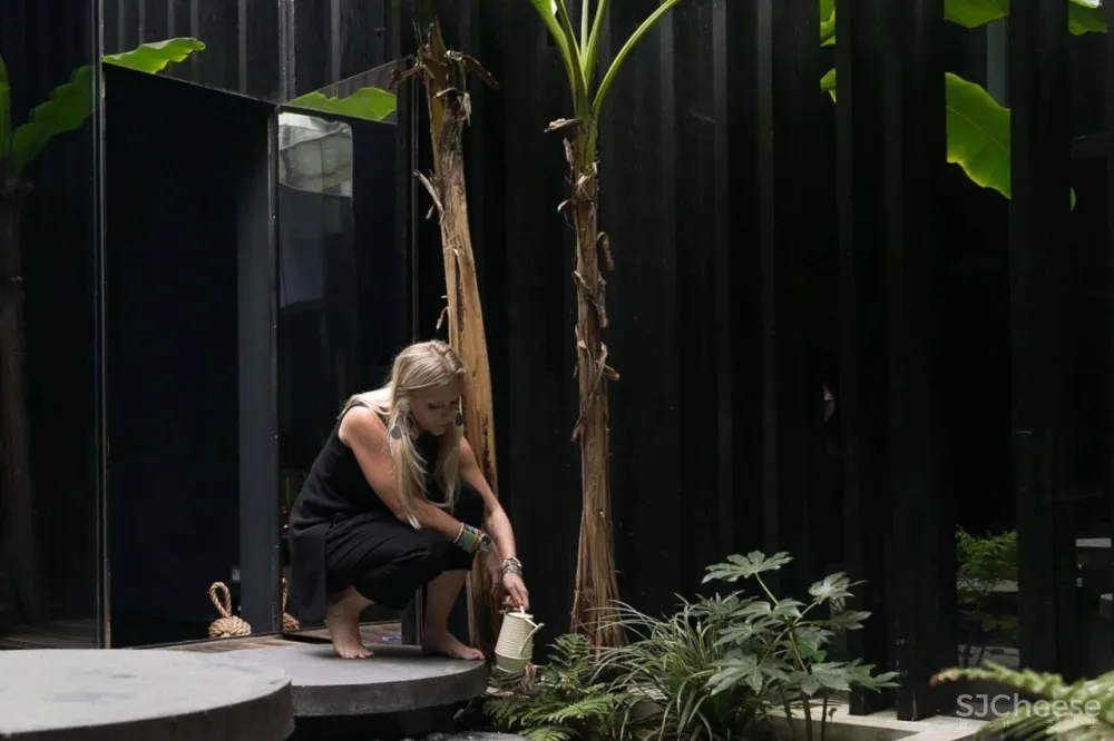 他十七年前设计的老房,现在五千万成交,这设计是真黑