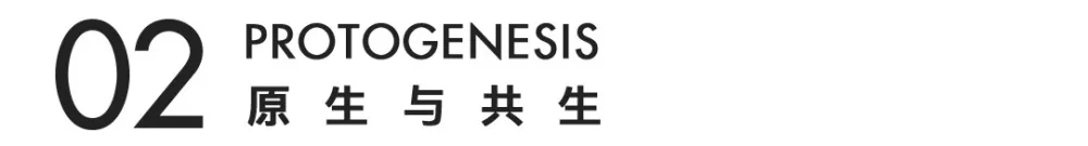 VGC设计 与天地同构