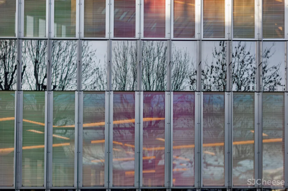 4.7亿的总部大楼,一根钢筋都没有!原来木结构可以这么美!