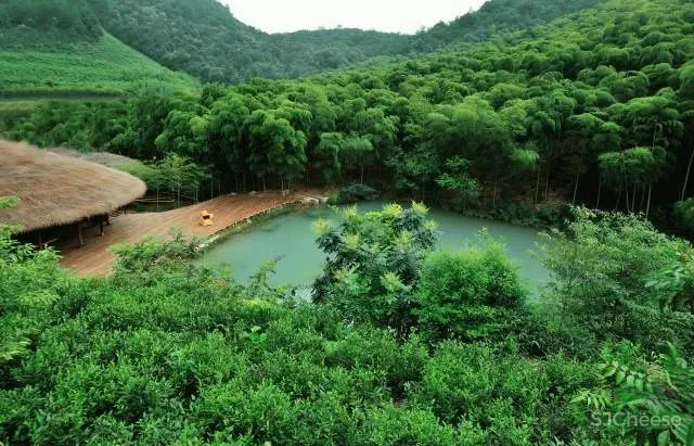 吕晓辉民宿代表作 如何打造理想主义向往的品质活力乡村?