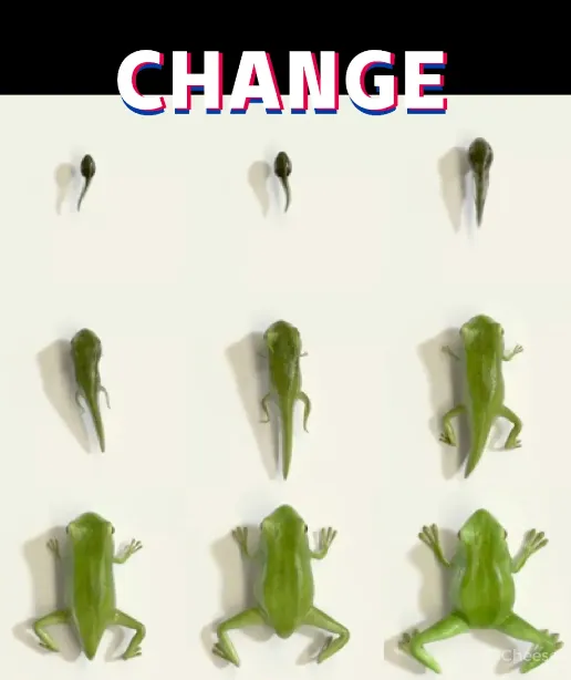 【艺鼎新作·蛙来哒】用色彩制造情绪,蛙来哒从未如此梦幻