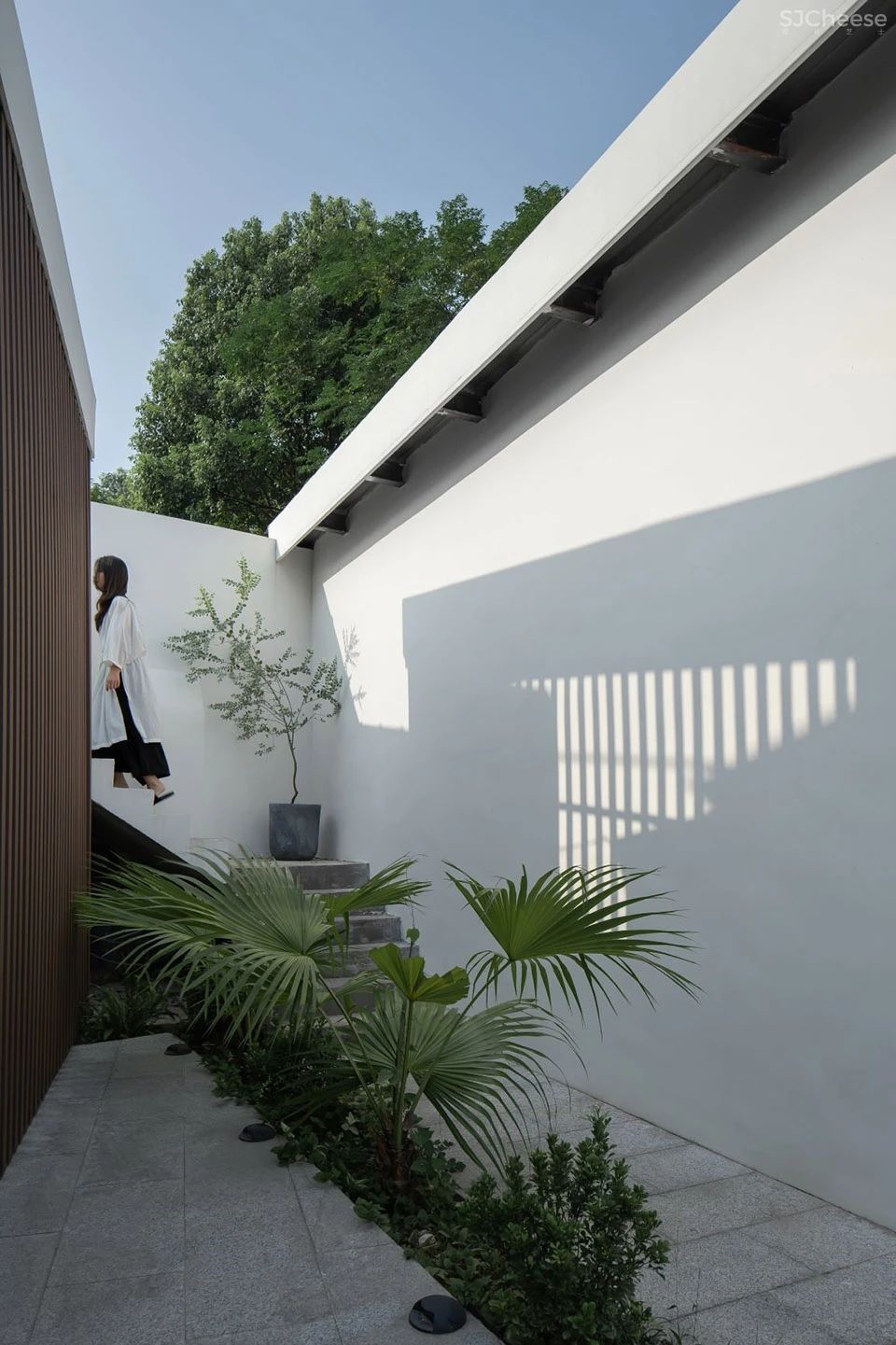 稻田里的极简民宿