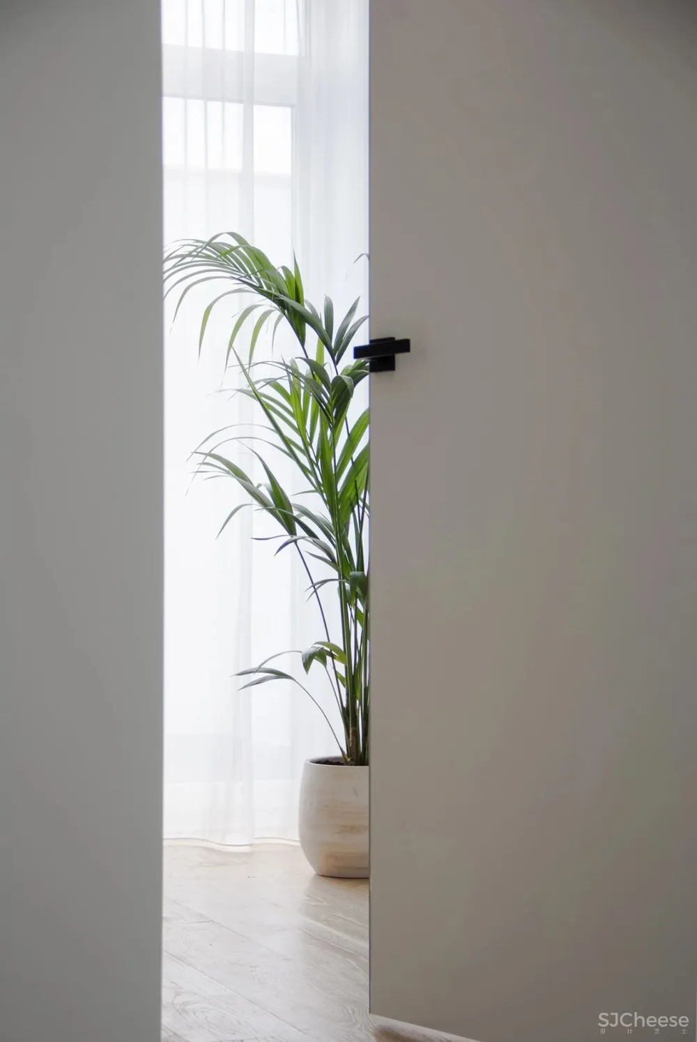 198㎡白色 原木色，最纯的搭配！