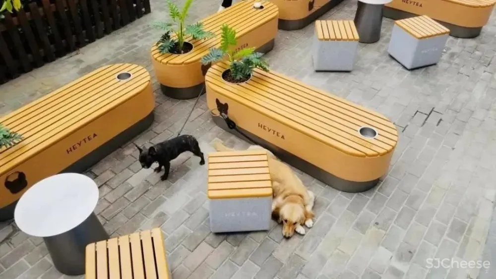 喜茶开「宠物店」了?居然是这样的!