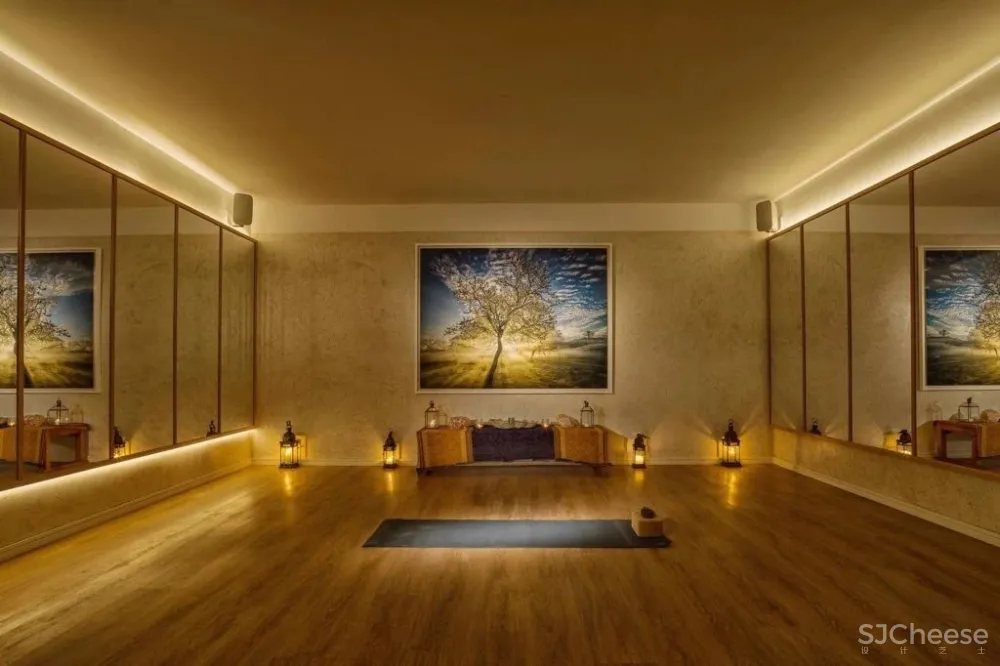 狂砸28亿在一座岛上建50栋豪宅!18位顶级设计师联手打造,豪华别墅一次性看个够!