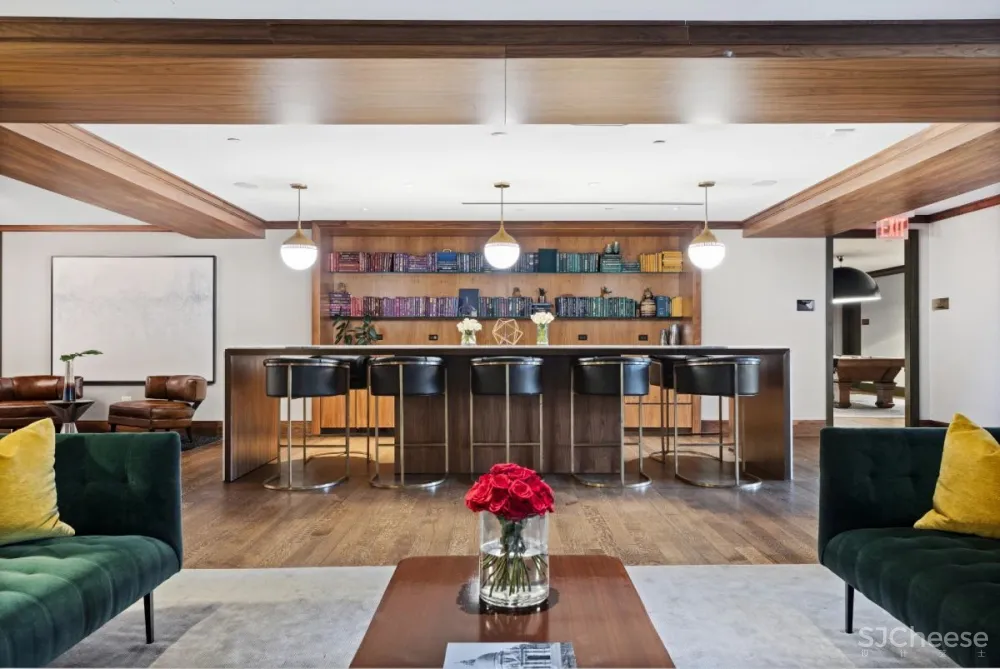 Real estate 地产 顶层公寓 低调奢华