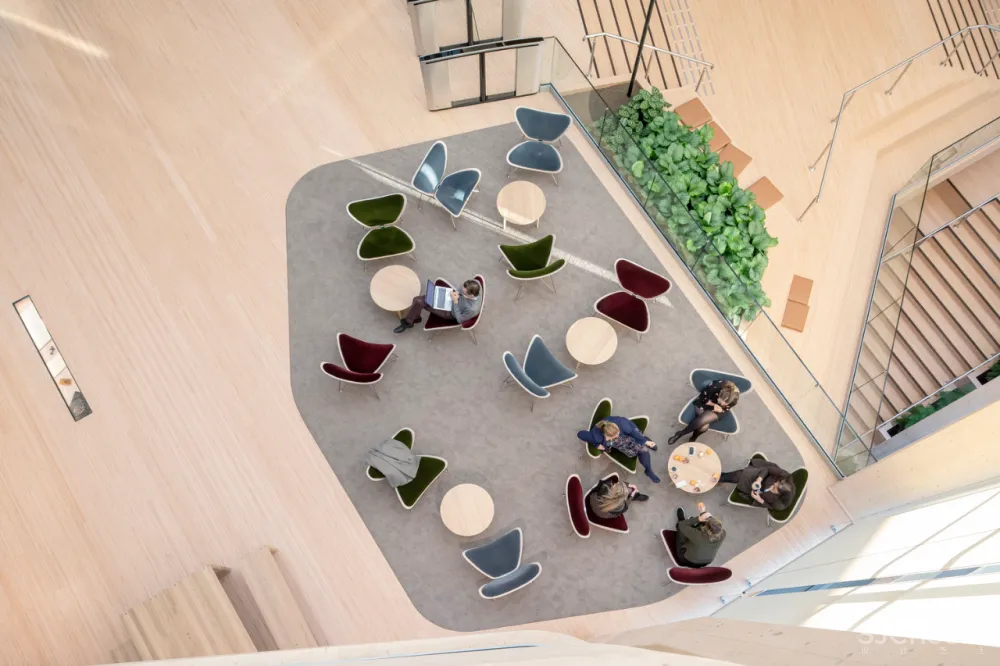 4.7亿的总部大楼,一根钢筋都没有!原来木结构可以这么美!