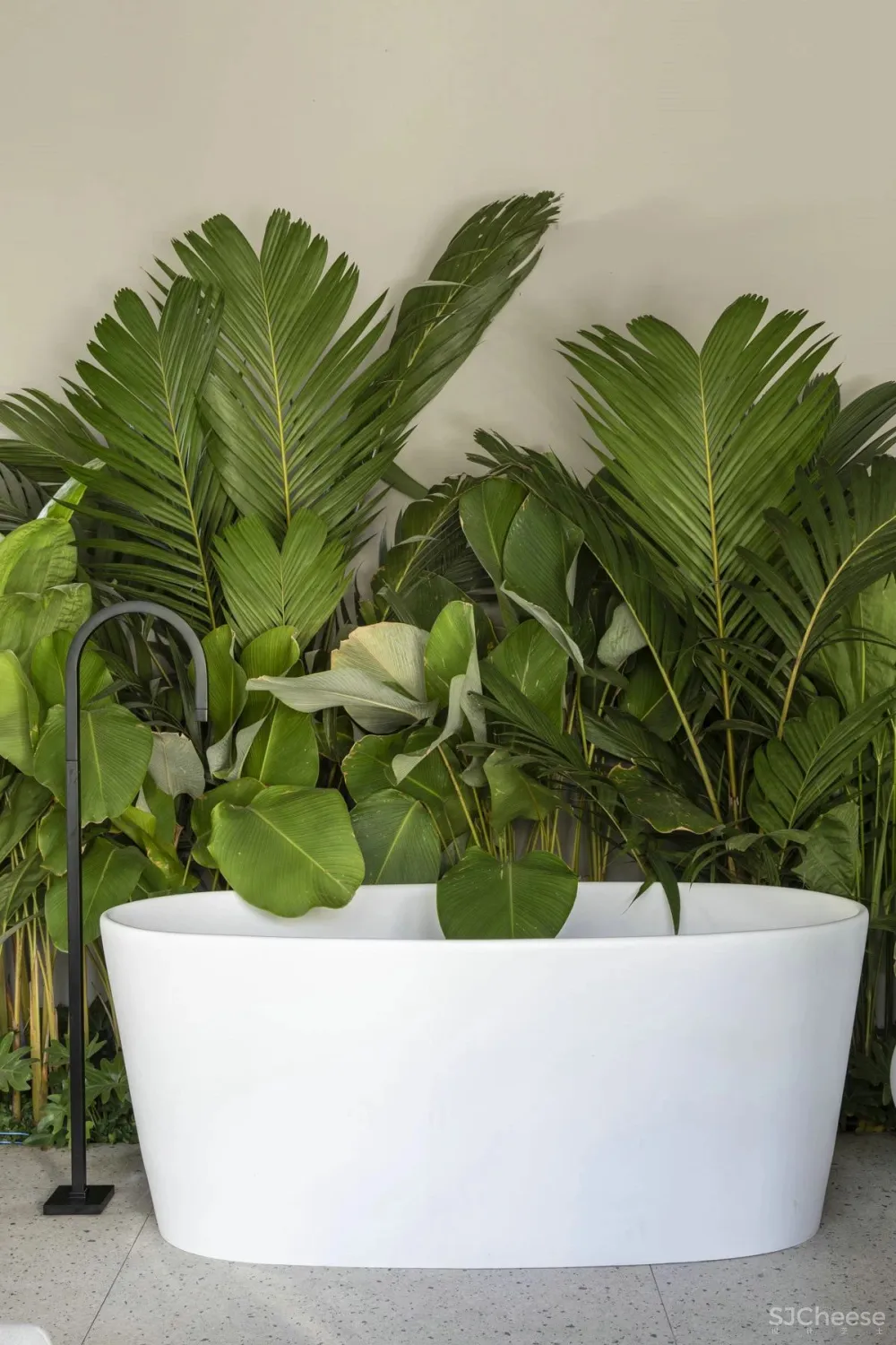 【搭-配】都市森林,让美好生活氧气态!