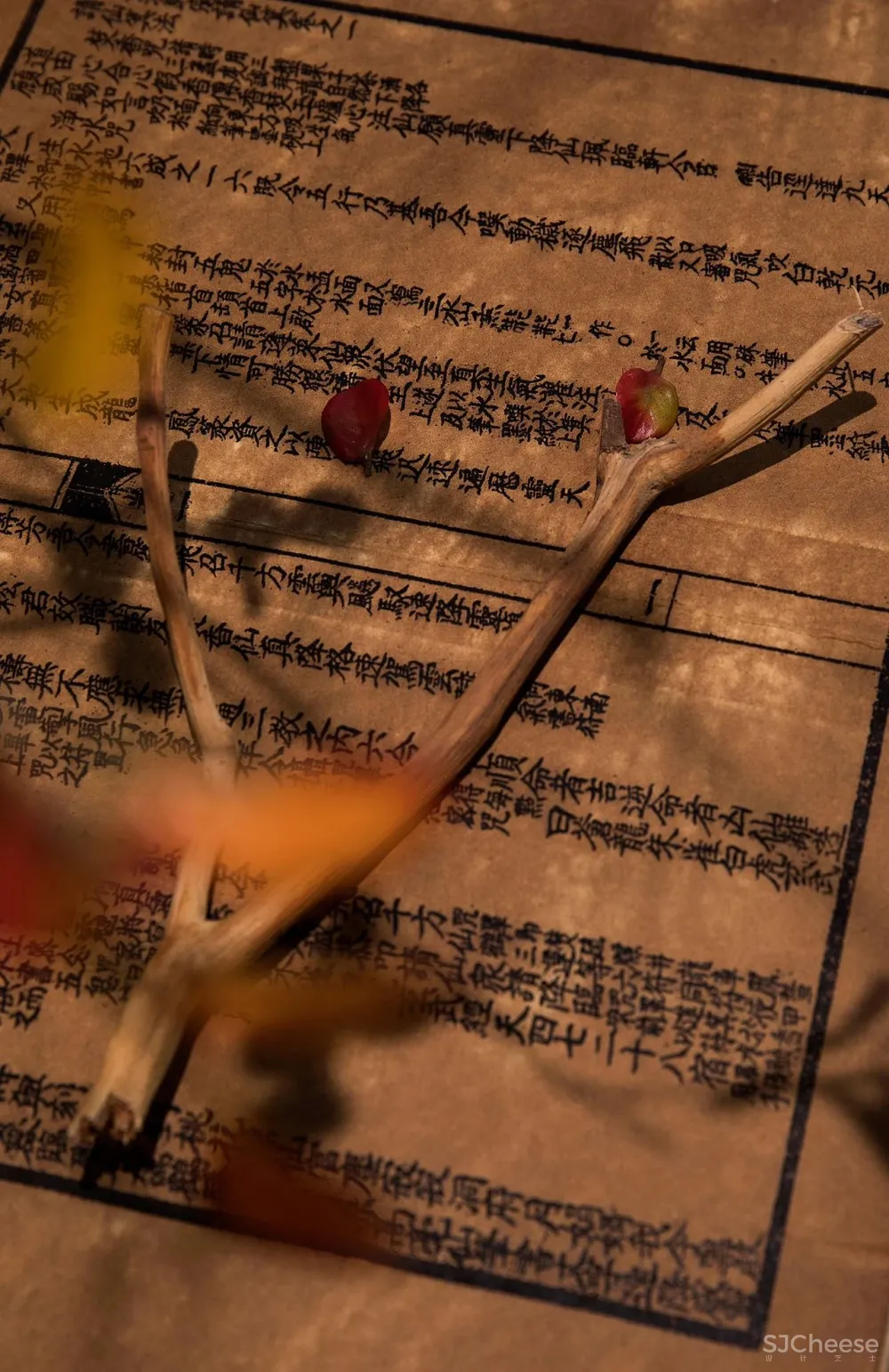 这样的居所，才是向往的生活！