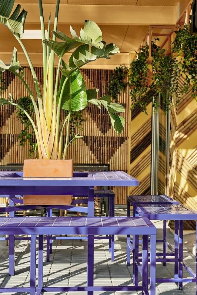 Masquespacio新作 都0202年了，终究还是抵不过色的诱惑