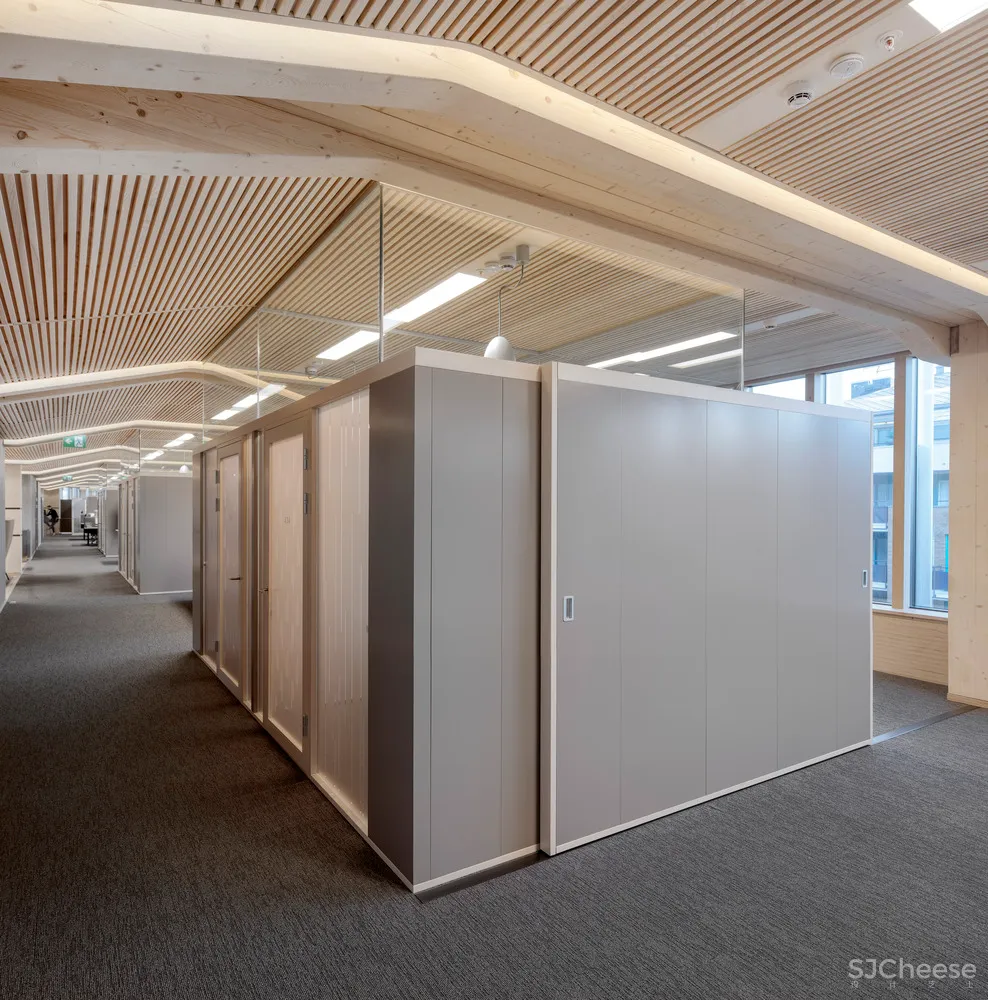 4.7亿的总部大楼,一根钢筋都没有!原来木结构可以这么美!