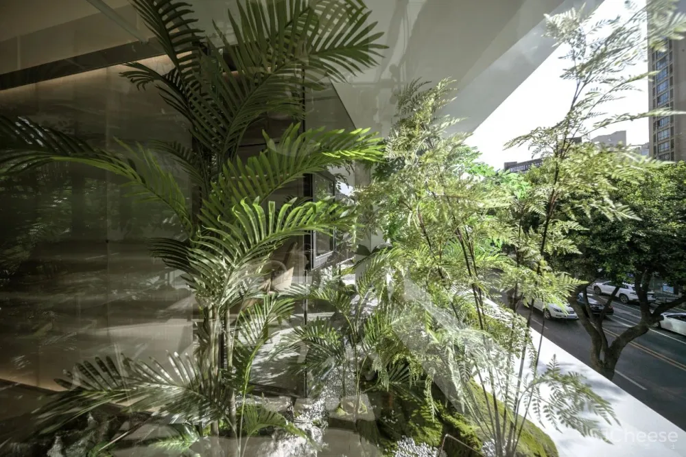 自然流淌的纯净空间,每束光都有自己的灵魂!