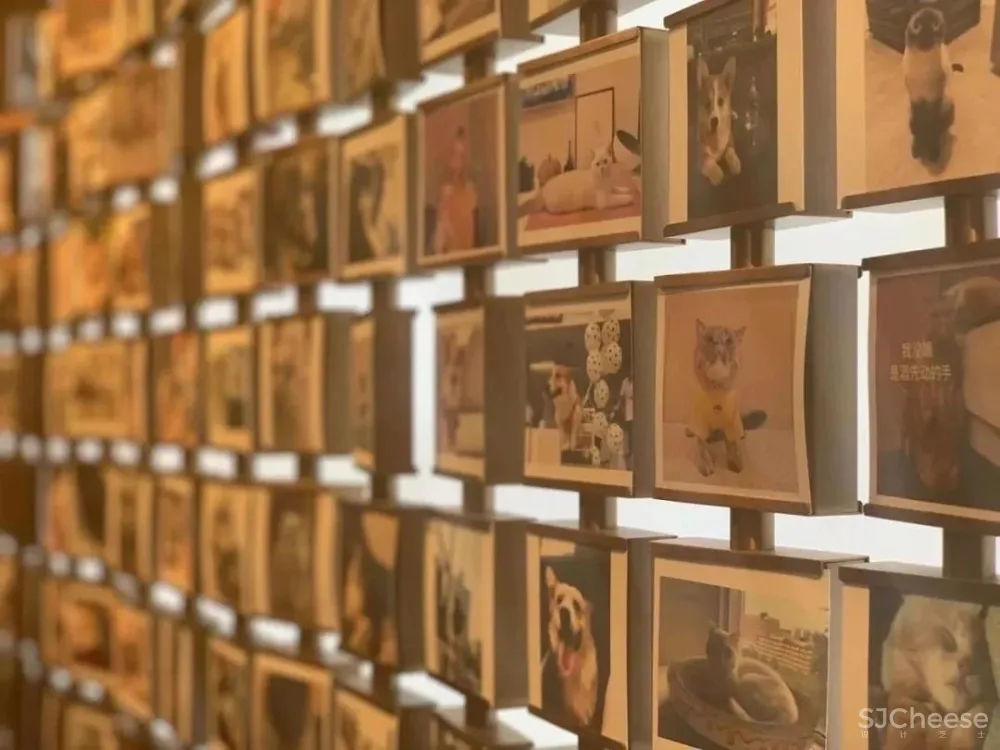 喜茶开「宠物店」了?居然是这样的!