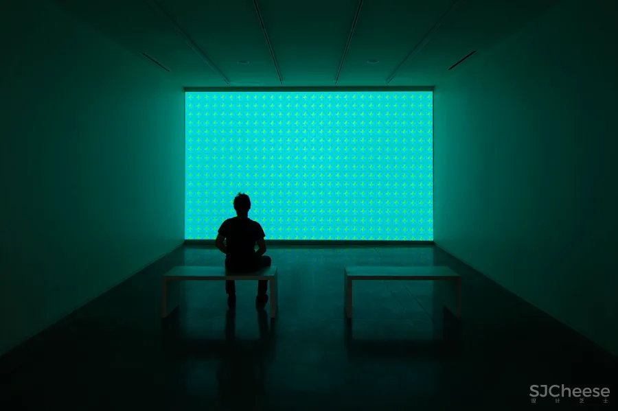 酒店还是博物馆,睡的逼格真高