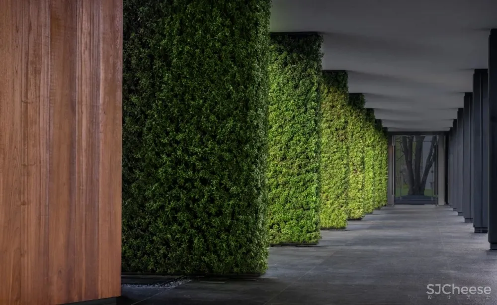 CCD最新力作 深圳大梅沙京基洲际行政俱乐部(酒店)