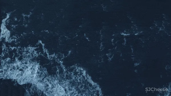 峻佳 上海超高颜值社区,11万方湖域艺术生活