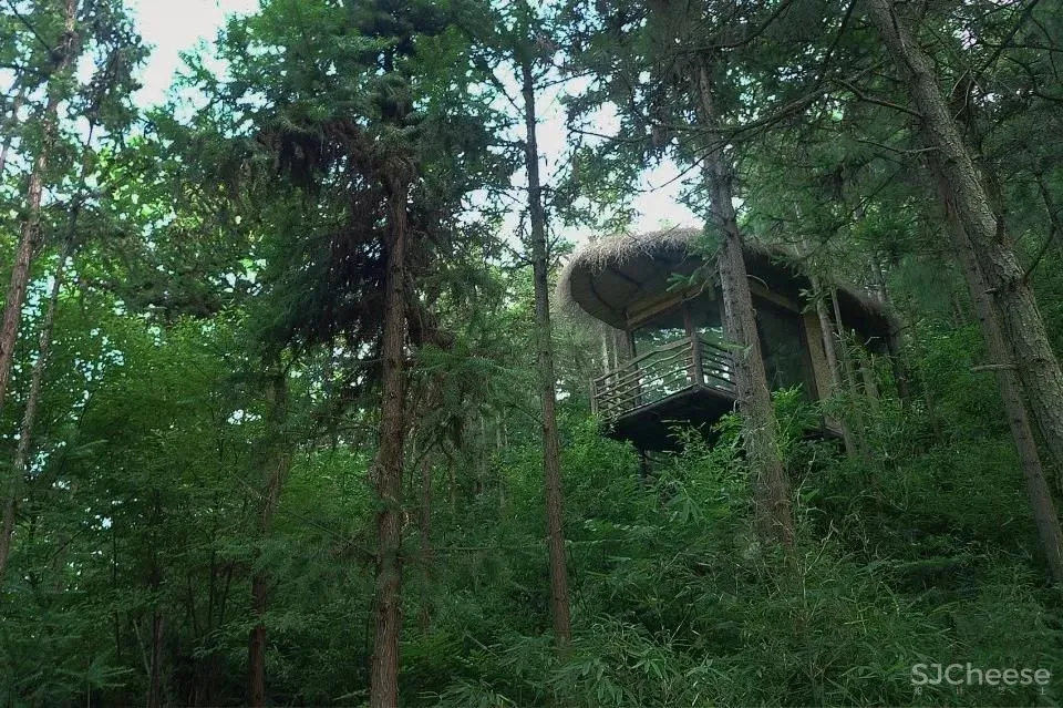 吕晓辉民宿代表作 如何打造理想主义向往的品质活力乡村?