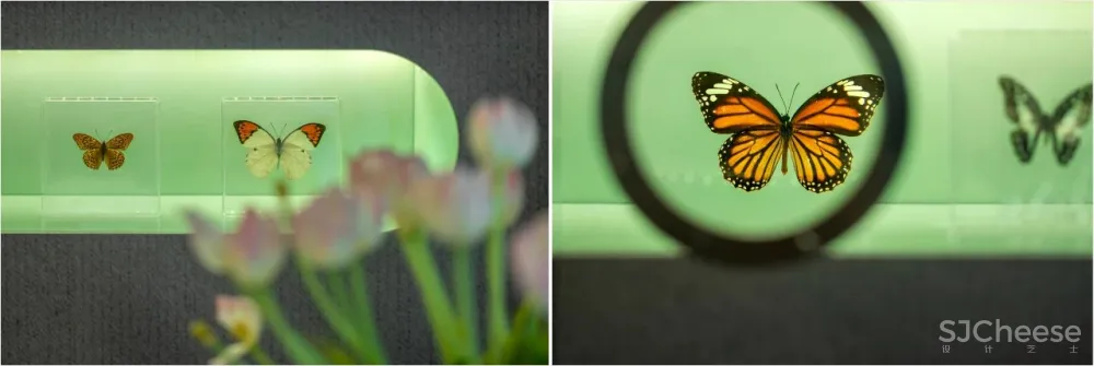 回归自然本真，艺术大宅里的极简生活！