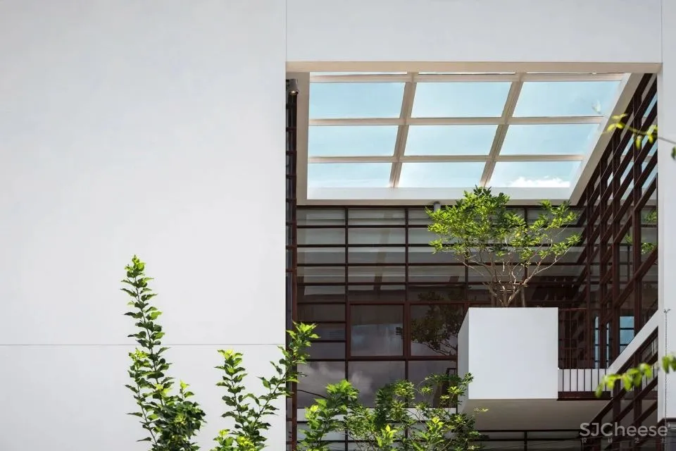 这个住宅让树都飘了!它是怎样做到的?