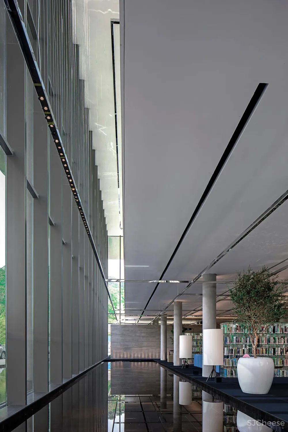 DOMANI东仓新作 广州图书馆 品秀星樾分馆