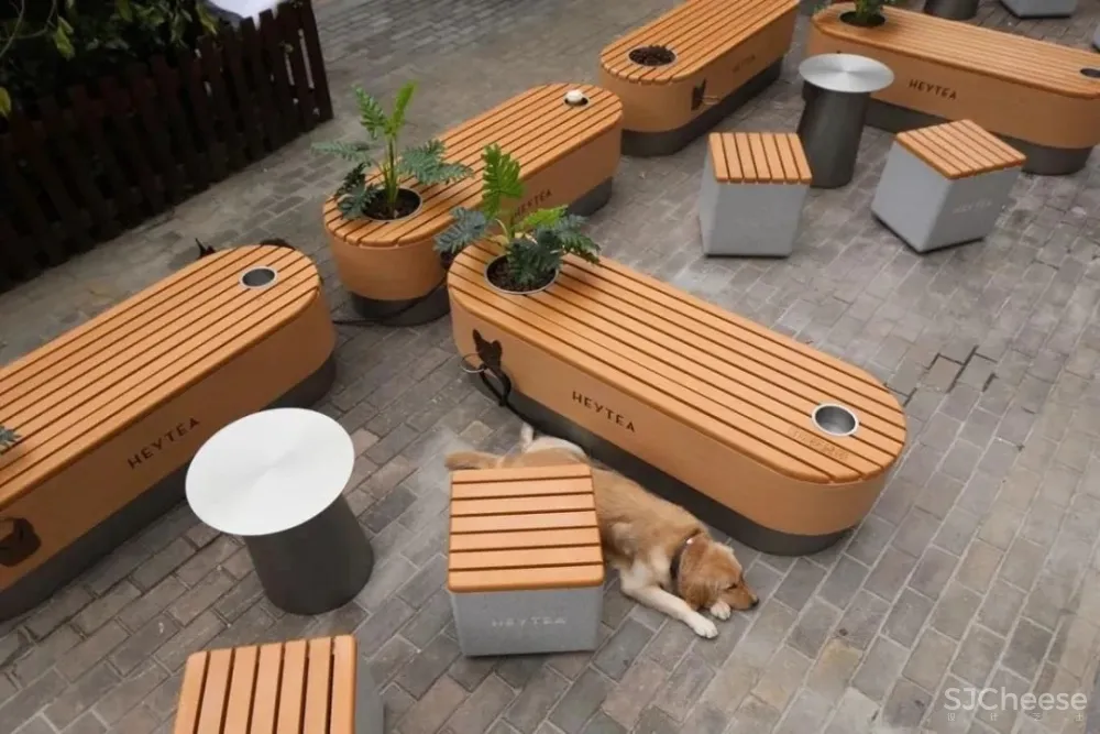 喜茶开「宠物店」了?居然是这样的!