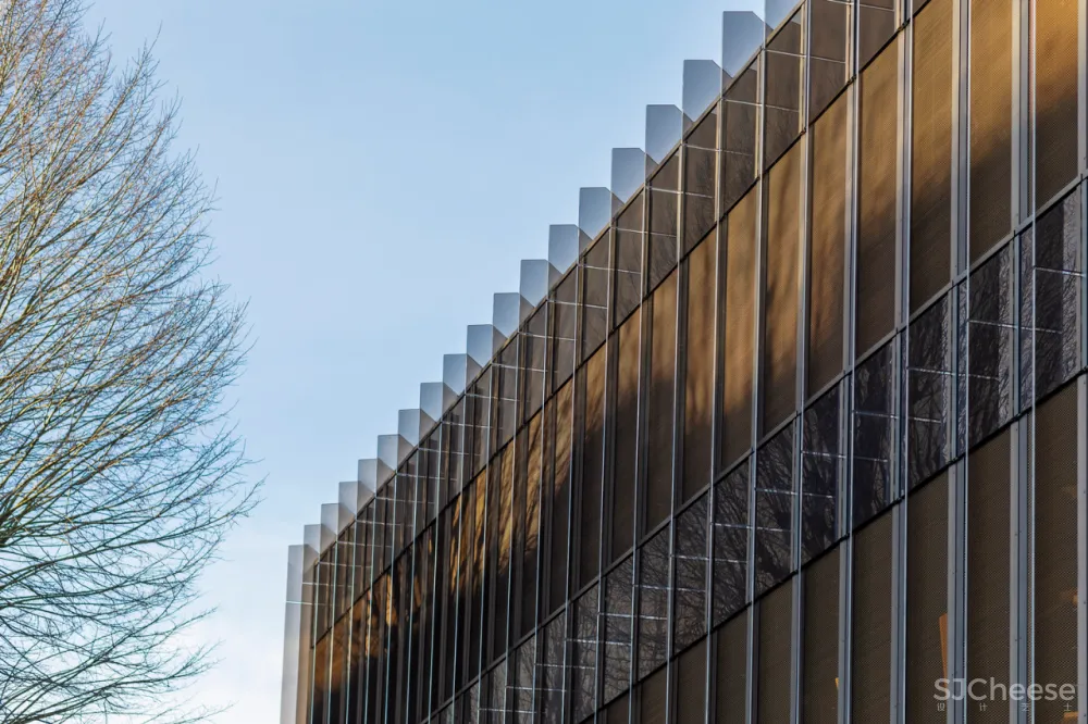 4.7亿的总部大楼,一根钢筋都没有!原来木结构可以这么美!