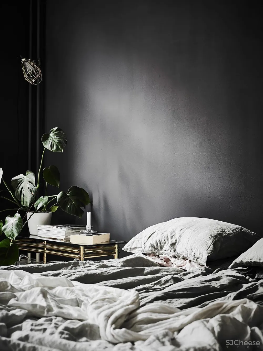 绿植点亮斯堪的纳维亚灰色空间,让你的家焕然一新!