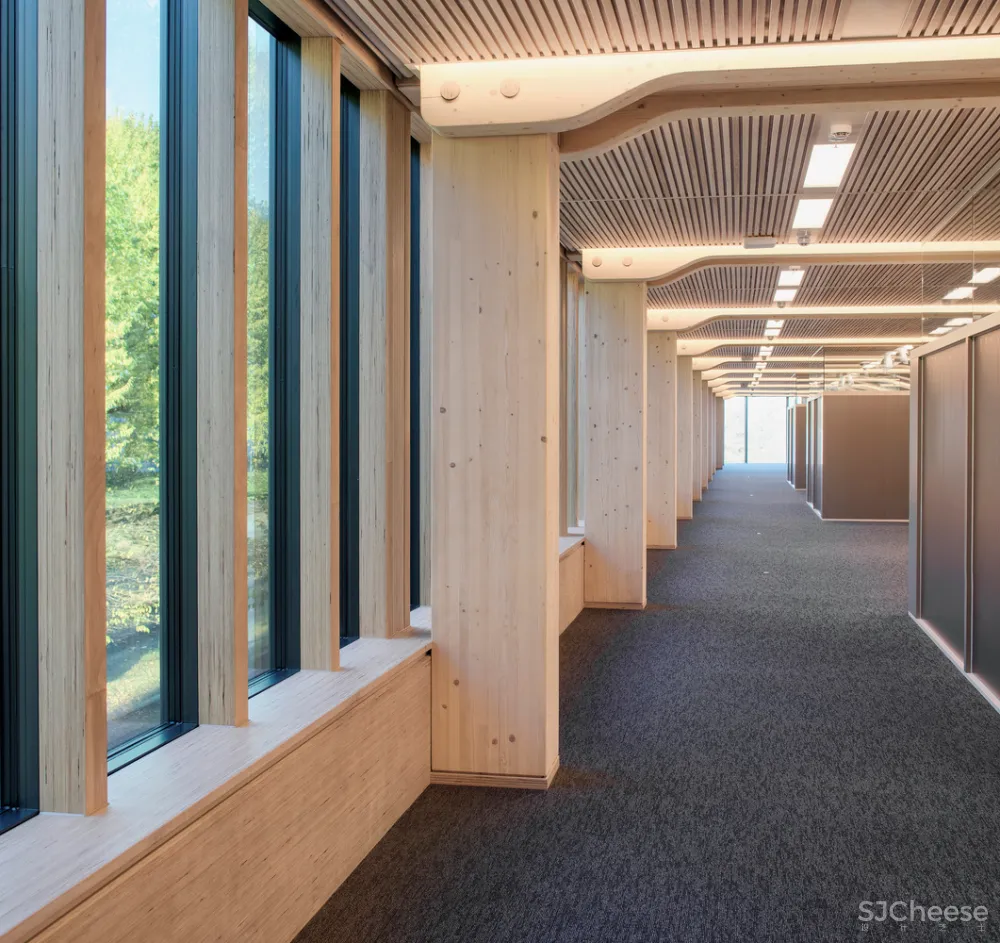 4.7亿的总部大楼,一根钢筋都没有!原来木结构可以这么美!