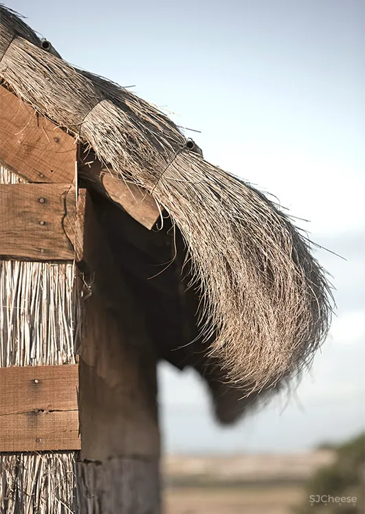乡下民宿越做越精致，它们却反其道而行：越简陋越高级