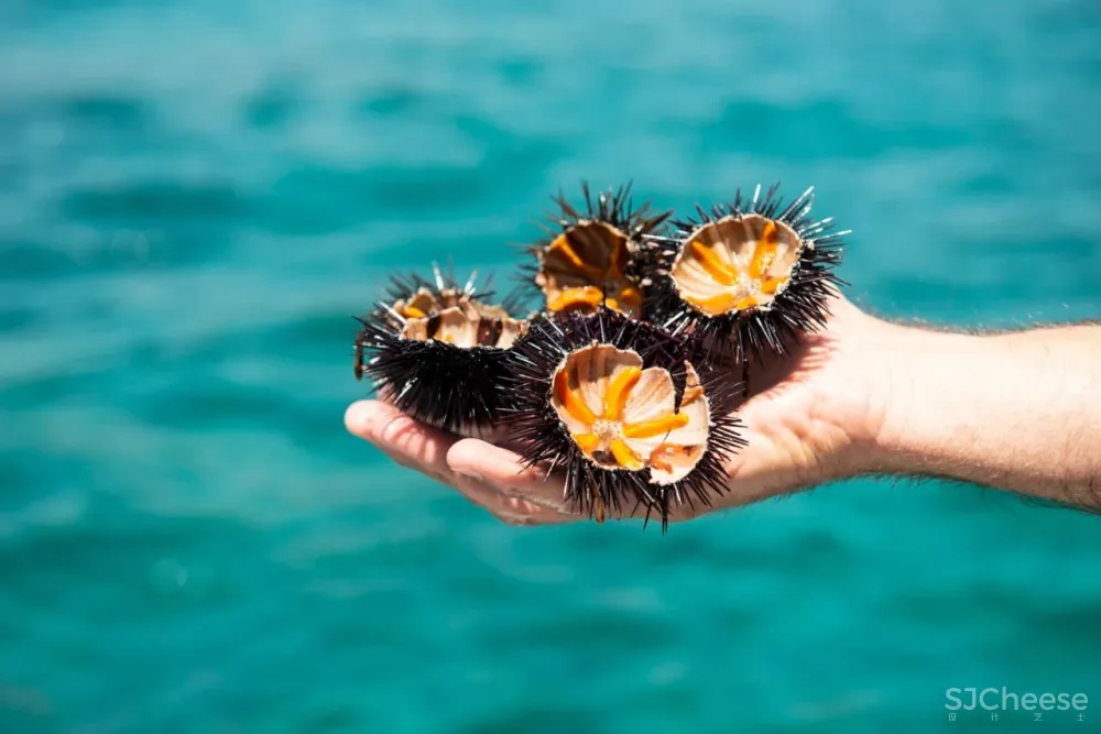 159 年历史的遗迹艺术酒店,收藏了极简、侘寂、巴洛克、拜占庭等风格!