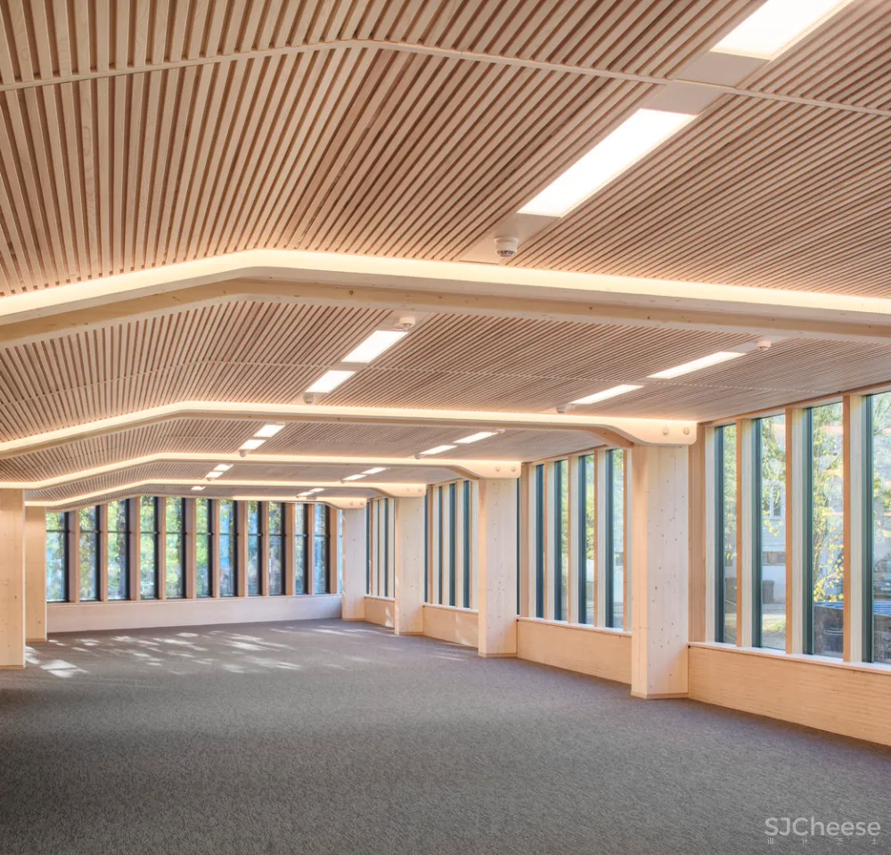 4.7亿的总部大楼,一根钢筋都没有!原来木结构可以这么美!