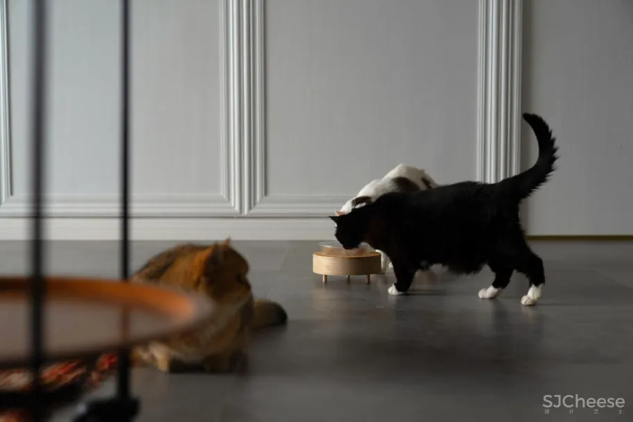 217㎡简约大平层,养7只猫的艺术美宅,太羡慕了!